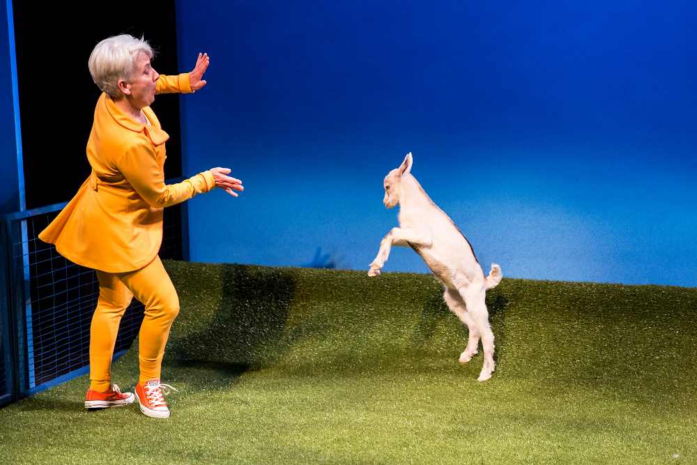 Ann Carlson in 'Animal Dance' at Children's Theatre Company. (Photo by Dan Norman)