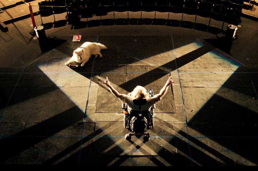 Man in wheelchair directs cross-cut lighting cues on a set. He is shown from behind and above and looks a bit like he is conduciting an orchestra. A large white dog reclines to his left.