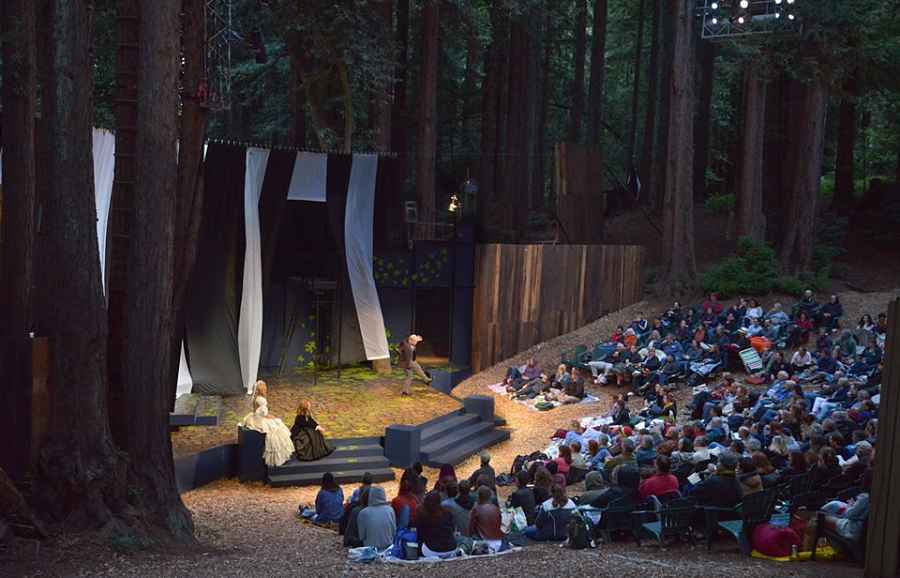 A Santa Cruz Shakespeare production of "As You Like It" in the Glen. (Photo by Jana Marcus)